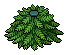 Christmas Tree Body
