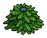 Christmas Tree Body