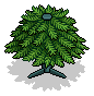 Christmas Tree Base
