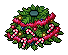 Sweet Tree Body