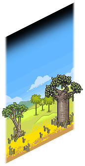 Savannah landscape