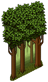 Forest Wall