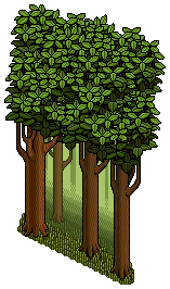 Forest Wall