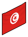 The Tunisian Flag