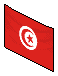 The Tunisian Flag