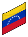 The Venezuelan Flag
