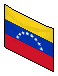 The Venezuelan Flag