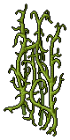 Green Bean Vines