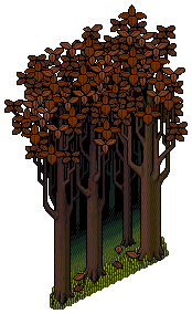 Haunted Forest