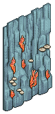 Coral Wall
