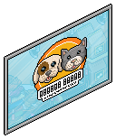 Pet Shop Window