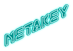 Metakey Light Fixture