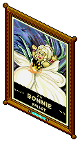 The Bonnie Ballet
