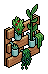 Light Wall Plants