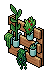 Light Wall Plants
