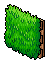 Moss Wall
