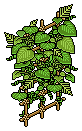 Tiki Wallplant