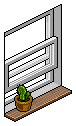 Basic Window