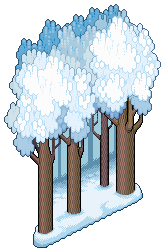 Snow Forest Wall