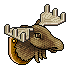 Moose Head