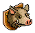 Wild Boar Head