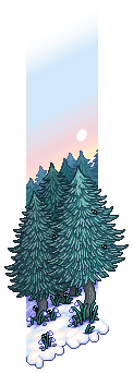 Nordic Winter Forest