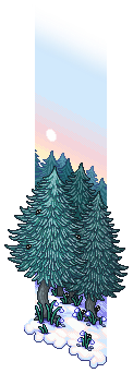 Nordic Winter Forest